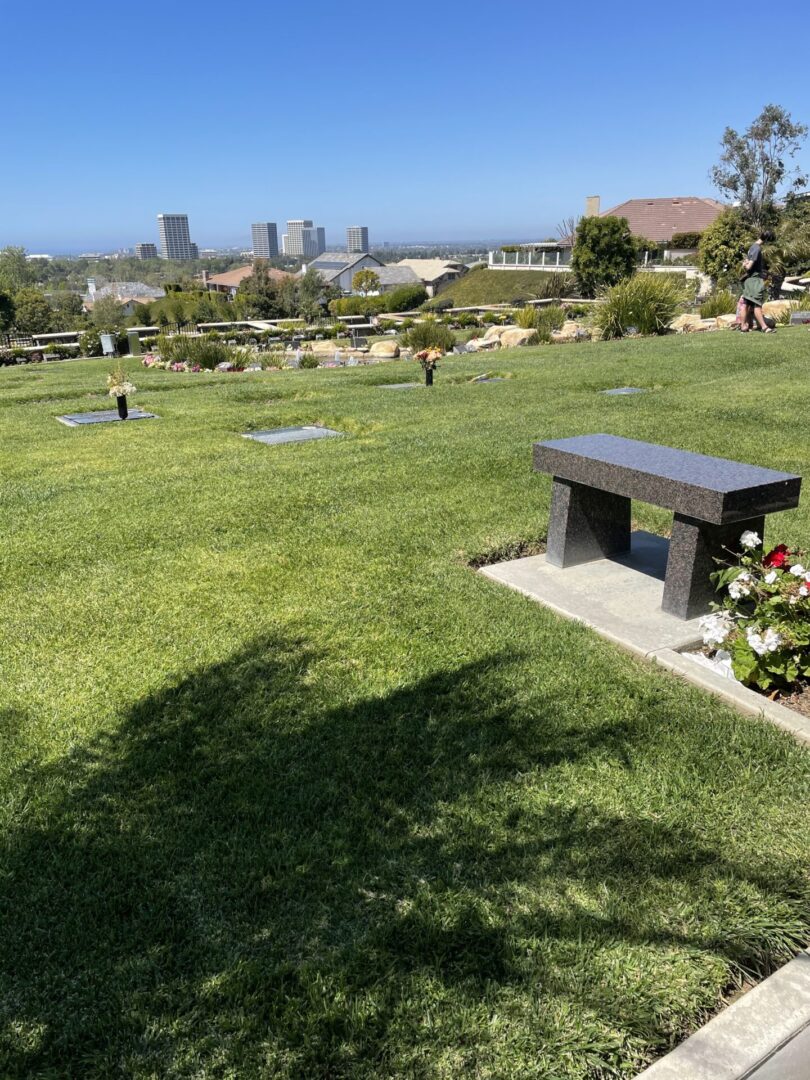 A bench in the middle of a grassy area.