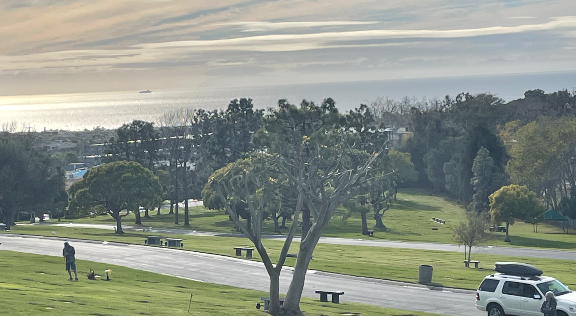 A park with benches and trees in the background.