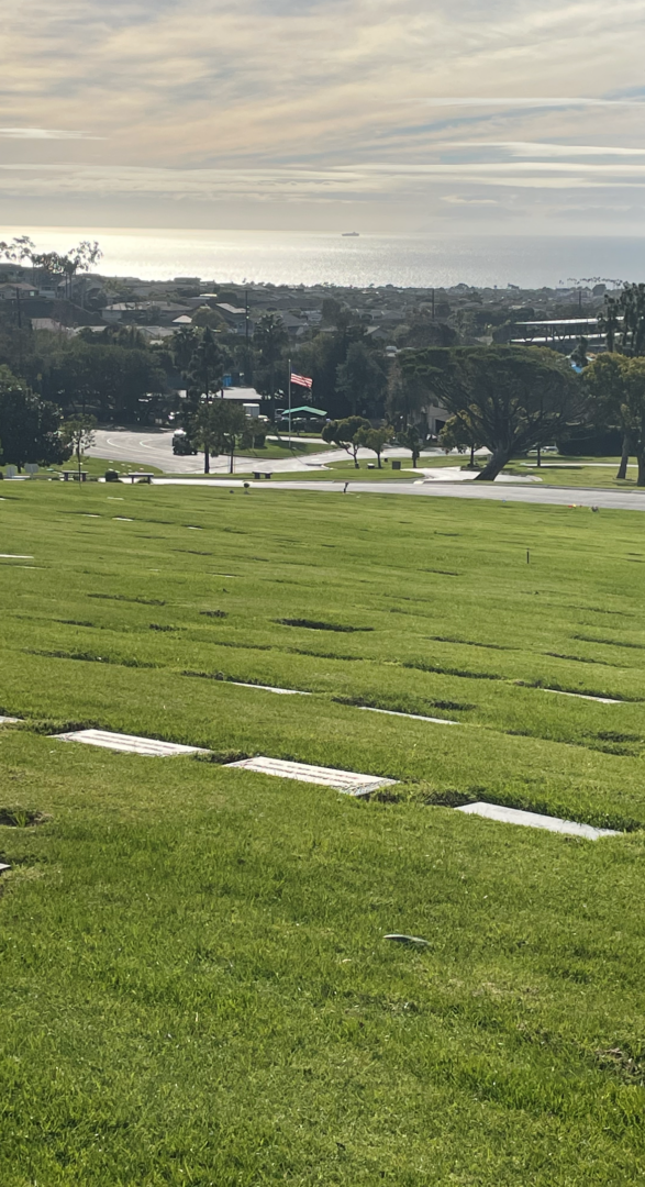 A grassy field with trees and buildings in the background.