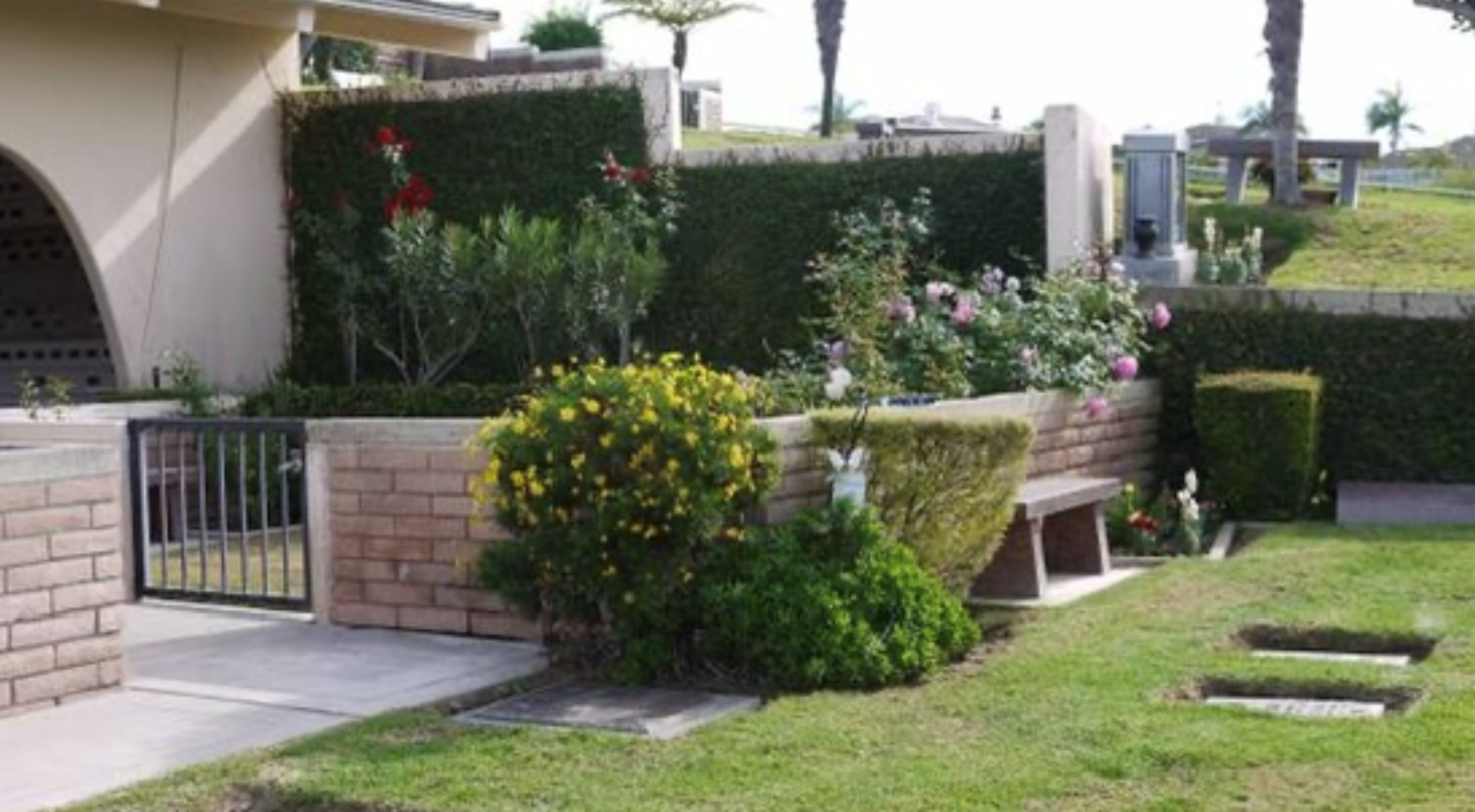 A garden with bushes and flowers in it.