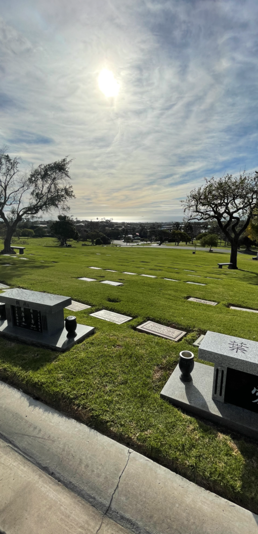 A cemetery with many graves and trees in the background.