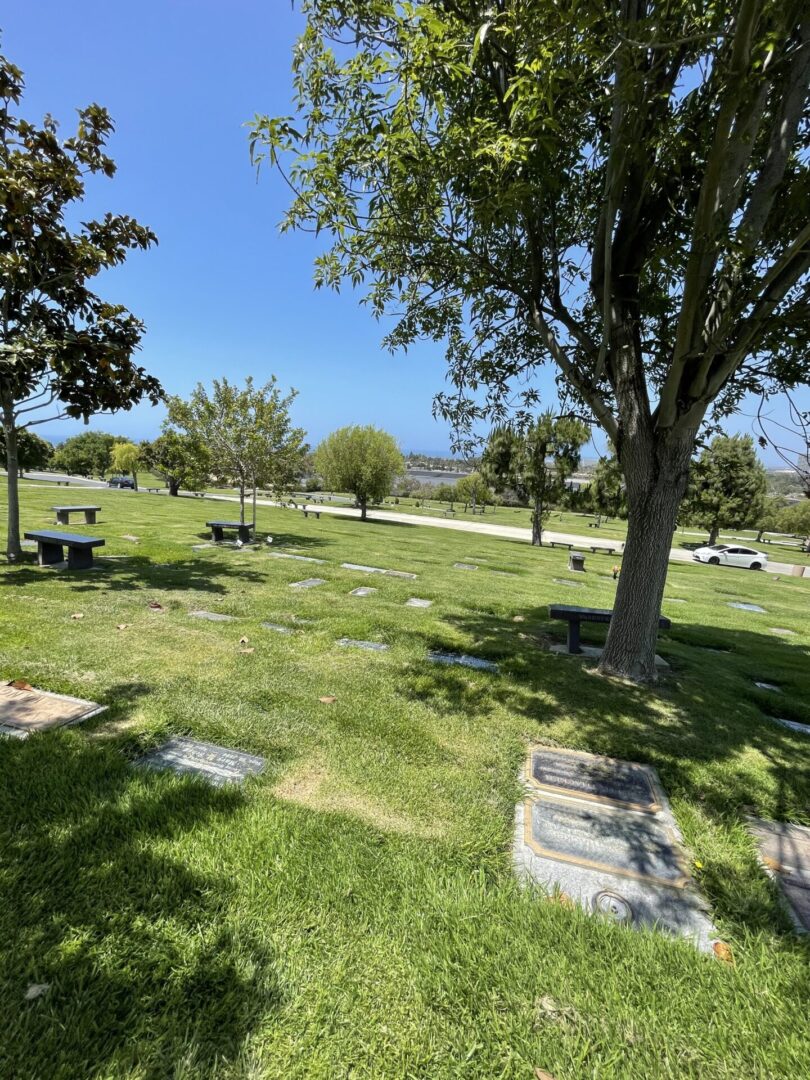 A cemetery with trees and benches in the background.