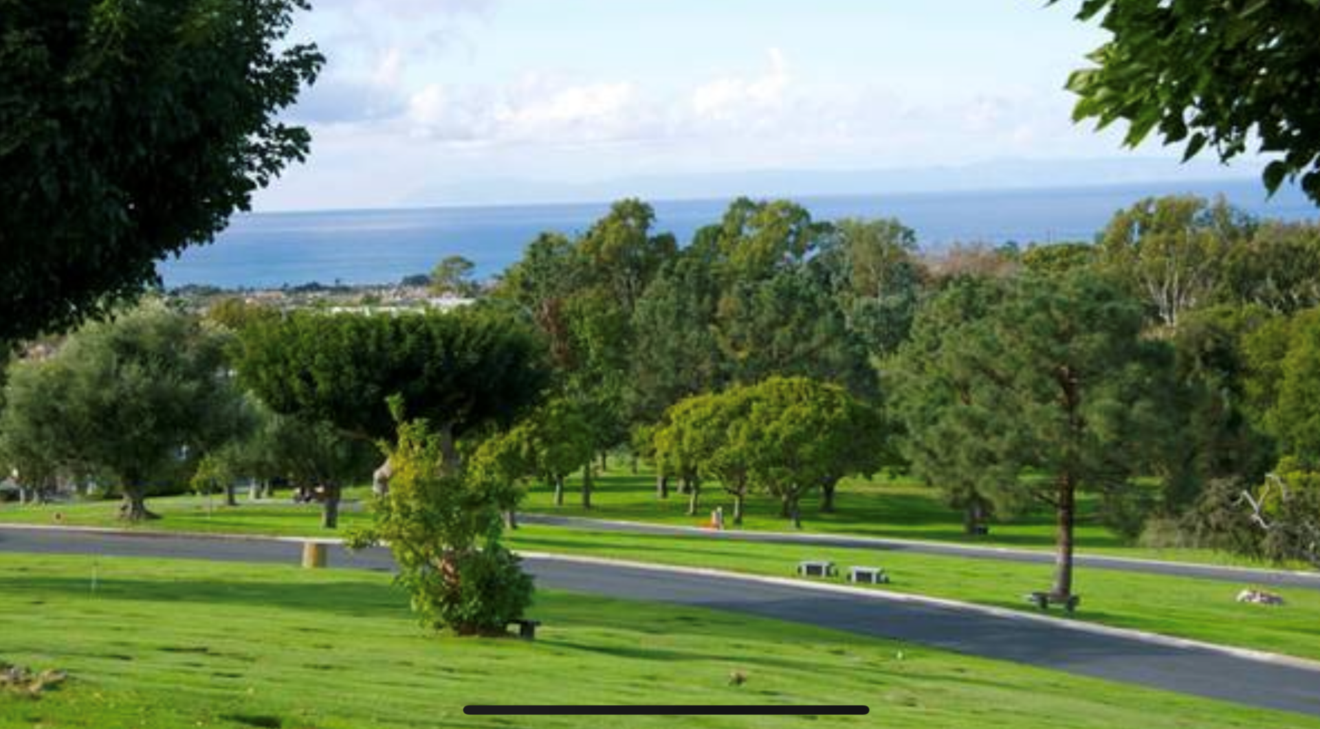 A park with trees and grass on the side of it