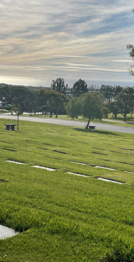 A grassy field with benches and trees in the background.