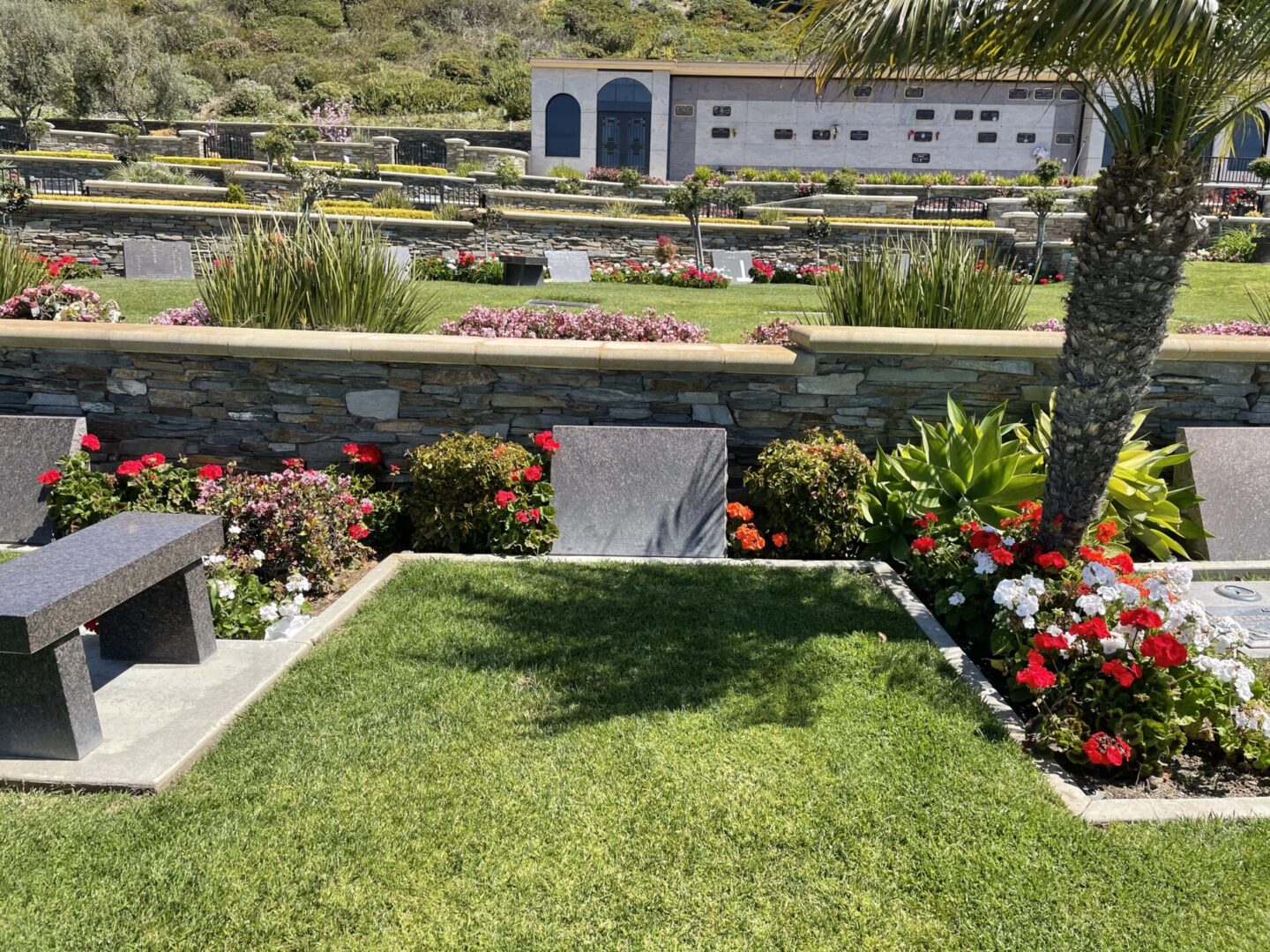 A garden with flowers and grass in the middle of it.