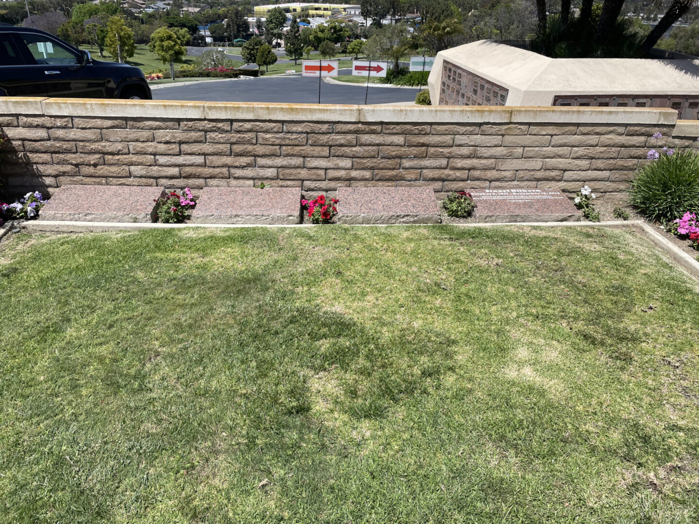 A view of the back yard from above.