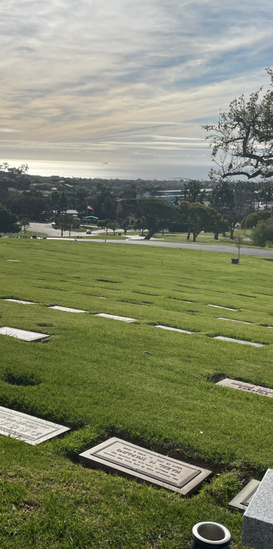 A cemetery with grass and trees in the background.