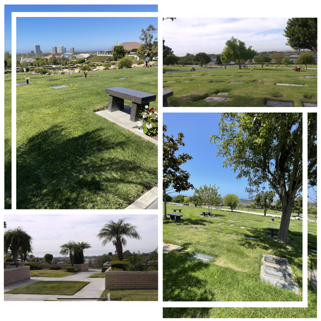 A collage of different photos with trees and grass.